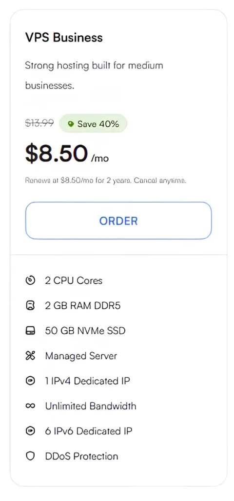 UltaHost VPS Business Plan Details