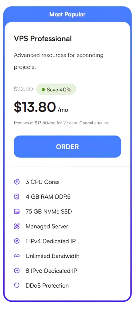UltaHost VPS Professional Plan Details
